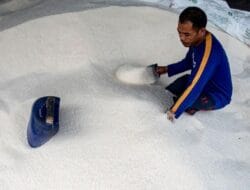 Harga Beras Semakin Melonjak