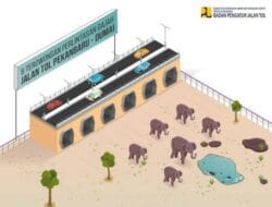 Hutama Karya Bangun Perlintasan Satwa di Tol Pekanbaru-Dumai dan Sigli-Banda Aceh