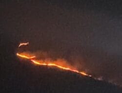 Gunung Penanggungan Membara, Kobaran Api Terlihat Hingga Kawasan Industri SAI NGORO