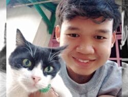 Memelihara Kucing Menurut Islam, Dapat Pahala?