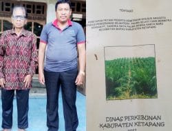 Koperasi  Sejahtera  Palma Sejati (SPS) Bermitra  Dengan PT.Sandika Nata Palma  Di Desa  Karya Baru,  14 Tahun Tidak Membayar SHK  Bapak Miau