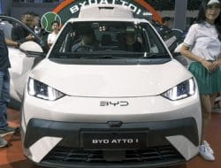 BYD Lampaui Tesla, Sawit Malaysia Anjlok