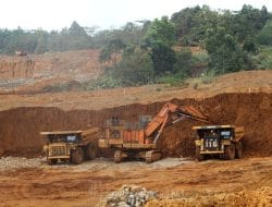 RKAB 2026 Disetujui 30%, Vale Indonesia Khawatir Kekurangan Pasokan Nikel