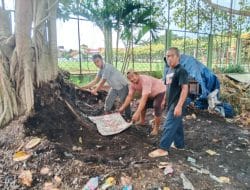 Sampah Organik Taman Kota Sumpiuh Disulap Jadi Pupuk, Dukung Demplot Tani Unggulan