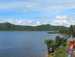 Pesona Mangrove Lopon: Permata Halmahera Timur Butuh Sentuhan