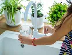 Fluoride Ban: Kids’ Cavity Crisis Looms