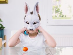 Choc-Shock: Shrinking Slabs, Soaring Prices