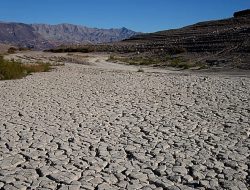 Drought Fuels Global Antibiotic Resistance