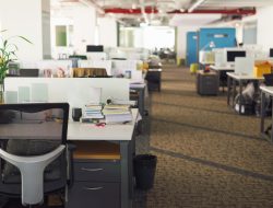 Intern Trainer’s Shock: “We’re Not Stupid”