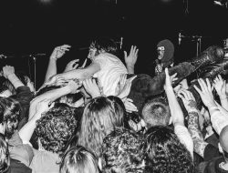 Jerkfest: Geelong’s Unlikely Music Fest Triumph
