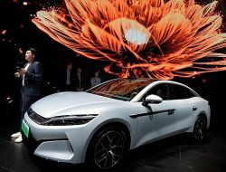 BYD Profit Dips 19% After Reigning Supreme in EV Sales