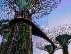 10 Wisata Singapura Murah Meriah, Wajib Jelajah!