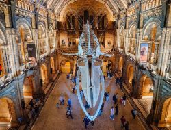 Museum Terpopuler Inggris