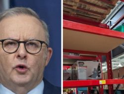 Bunnings Stock Alert: Popular Item Dwindling