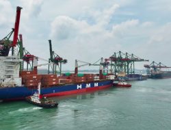 Terminal Teluk Lamong Catat Produksi 467 Ribu TEUs pada Februari