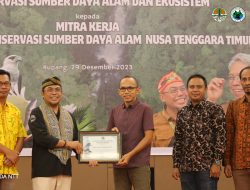 Kasus Perburuan Komodo Terungkap, BBKSDA NTT Tingkatkan Kerja Sama Pengawasan