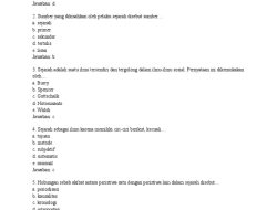 Soal Ujian Akhir Semester 2 Sejarah Kelas 10 SMA 2026