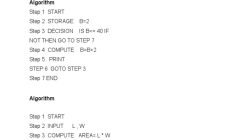 Lahore Board Launches First Automated Practical Exam System