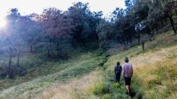 Asal Usul Nama Desa Gumeng dan Wisata Alam Lereng Gunung Lawu