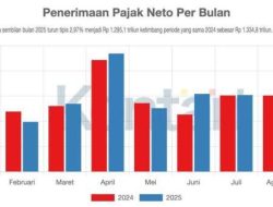 DJP siapkan tiga strategi untuk tingkatkan penerimaan pajak hingga 2029