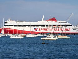 Free public transport in two Australian states as fuel costs rise