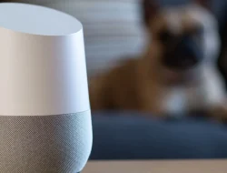 Top questions to steer clear of with your Google Home