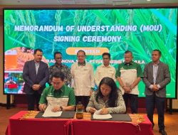 Rencana Produksi Massal Bobibos di Timor Leste