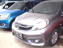 Harga Bekas Tipis, Brio Satya 2018 dan Ignis 2018 Laku Keras