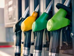 MPs Cut Travel to Save Fuel and Set Example for Australians