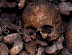 Paris Catacombs to Return in 2026 with Major Safety Upgrade