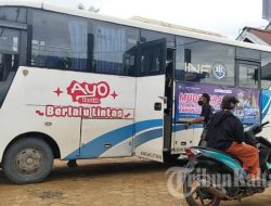 Jadwal Bus Damri Hari Ini: Tana Tidung ke Tanjung Selor dan Malinau, Cek Tiket Terbaru