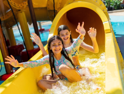 Why immersion beats amenities in 2026 travel trends