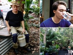 How a Lawyer Turned His Sydney Terrace Into an Off-Grid Haven