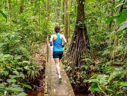 From the Amazon to Antarctica: Unmissable Marathons for Adventurers
