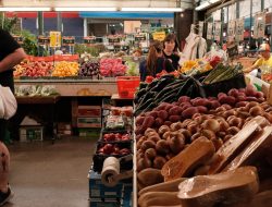 Autumn harvest delights in April
