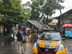 Hujan Angin Jumat, Pohon Tumbang Menggemparkan Bandung