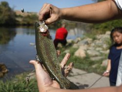 Lake Tahoe Ranks Among Nation’s Top Trout Fishing Spots