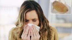 Woman’s sneeze of worms shocks medical experts