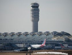 Pilots bark and meow on radio as ATC intervenes: ‘Stay professional’
