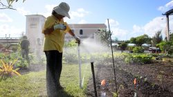 The healthy hobby of springtime exercise