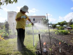 The healthy hobby of springtime exercise