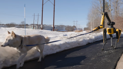 AI robot dog tackles household tasks autonomously