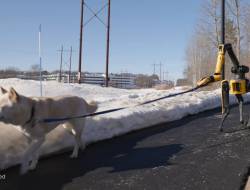 AI robot dog tackles household tasks autonomously