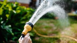 How to choose the best garden hoses for your home, expert tips