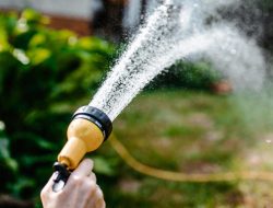 How to choose the best garden hoses for your home, expert tips