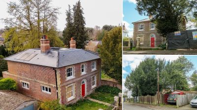 Millionaire Row Residents Triumph in Tree Battle