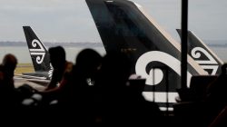 Airline introduces bunk beds for economy passengers but bans snacks, smells and cuddling