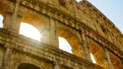 What Gladiators Ate Reveals a Different Story Than Hollywood Says