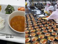 Stunning South Korean School Meals Unveiled with Six Nutritionist-Approved Courses