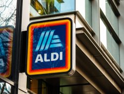 Aldi unveils $10 solar garden decor for spring brightness